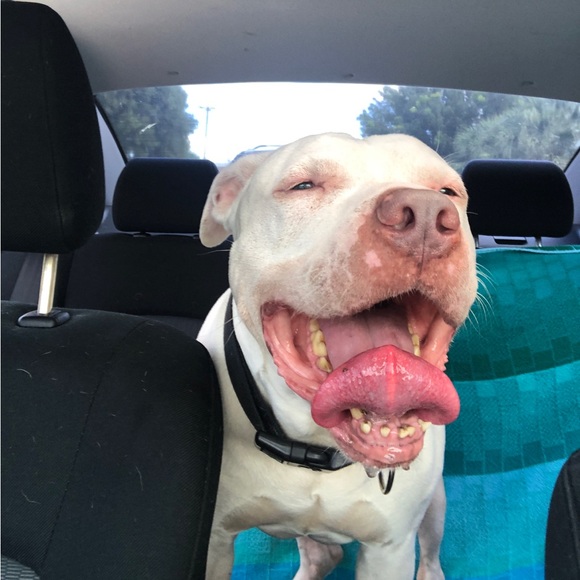 Meet your Posher, Heather - Picture 6 of 16